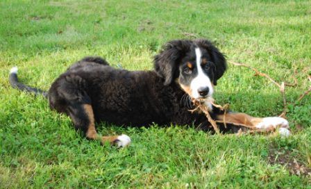  Jizerské hory VI/09